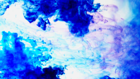 Purple-And-Blue-Paint-Or-Dye-Dropped-Into-Water-Against-White-Background-To-Create-Swirling-Colourful-Smoke-Background-2